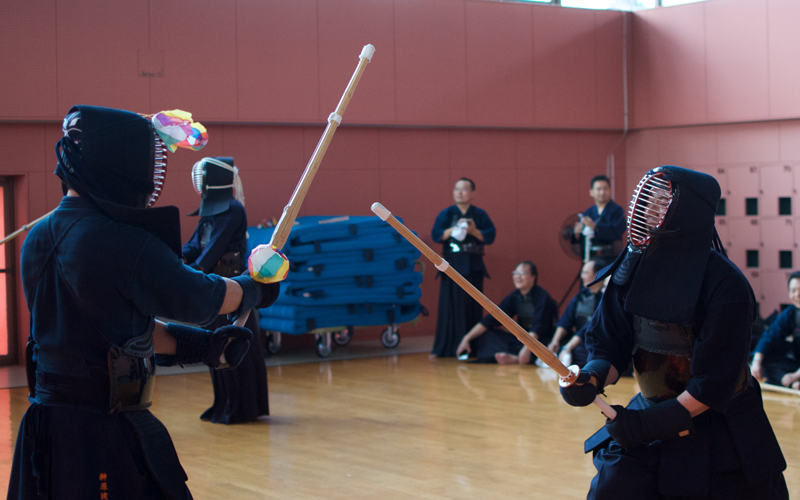 Kendo Experience Tour 20172